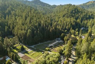 Single Family Residence,  Armstrong Woods road, Russian River, CA 95446 - 71