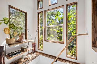 Single Family Residence,  Armstrong Woods road, Russian River, CA 95446 - 42