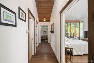 Single Family Residence,  Armstrong Woods road, Russian River, CA 95446 - 28