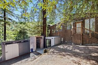 Single Family Residence,  Armstrong Woods road, Russian River, CA 95446 - 60