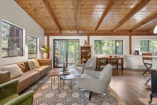 Single Family Residence,  Armstrong Woods road, Russian River, CA 95446 - 14