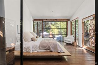 Single Family Residence,  Armstrong Woods road, Russian River, CA 95446 - 23