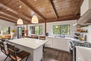 Single Family Residence,  Armstrong Woods road, Russian River, CA 95446 - 17