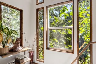 Single Family Residence,  Armstrong Woods road, Russian River, CA 95446 - 43