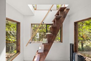 Single Family Residence,  Armstrong Woods road, Russian River, CA 95446 - 46