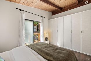 Single Family Residence,  Armstrong Woods road, Russian River, CA 95446 - 36