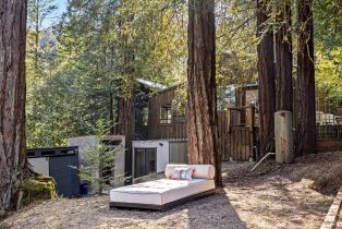 Single Family Residence,  Armstrong Woods road, Russian River, CA 95446 - 59