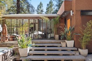 Single Family Residence,  Armstrong Woods road, Russian River, CA 95446 - 7