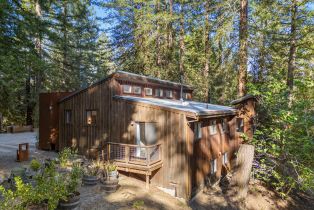 Single Family Residence,  Armstrong Woods road, Russian River, CA 95446 - 68