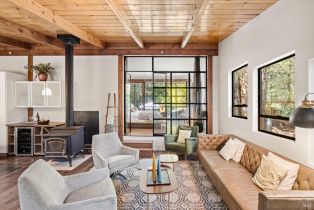 Single Family Residence,  Armstrong Woods road, Russian River, CA 95446 - 21