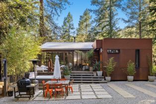 Single Family Residence,  Armstrong Woods road, Russian River, CA 95446 - 53