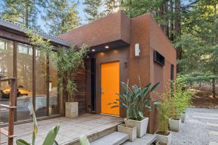 Single Family Residence,  Armstrong Woods road, Russian River, CA 95446 - 8