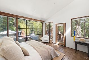 Single Family Residence,  Armstrong Woods road, Russian River, CA 95446 - 25