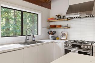 Single Family Residence,  Armstrong Woods road, Russian River, CA 95446 - 19