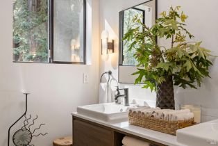 Single Family Residence,  Armstrong Woods road, Russian River, CA 95446 - 39