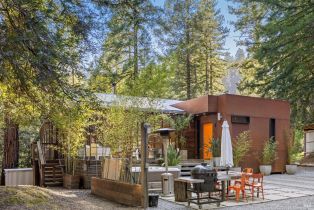 Single Family Residence,  Armstrong Woods road, Russian River, CA 95446 - 52