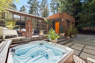 Single Family Residence,  Armstrong Woods road, Russian River, CA 95446 - 27