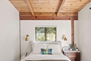 Single Family Residence,  Armstrong Woods road, Russian River, CA 95446 - 37