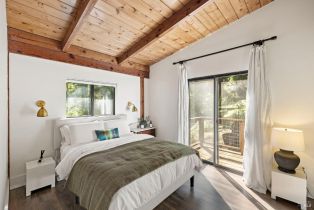Single Family Residence,  Armstrong Woods road, Russian River, CA 95446 - 35