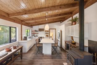 Single Family Residence,  Armstrong Woods road, Russian River, CA 95446 - 16