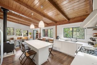 Single Family Residence,  Armstrong Woods road, Russian River, CA 95446 - 10