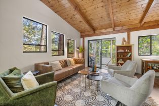 Single Family Residence,  Armstrong Woods road, Russian River, CA 95446 - 13