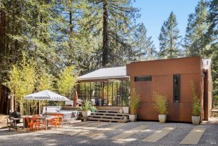 Single Family Residence,  Armstrong Woods road, Russian River, CA 95446 - 4