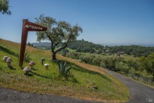 Single Family Residence,  Lovall Valley road, Sonoma, CA 95476 - 34