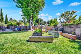 Single Family Residence, Linda Vista avenue, Napa, CA 94558 - 58