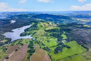 Agriculture,  Wild Horse Valley road, Napa, CA 94558 - 38