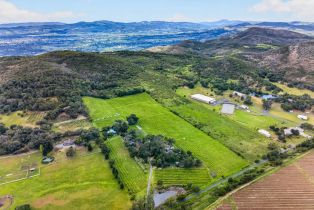Agriculture,  Wild Horse Valley road, Napa, CA 94558 - 37