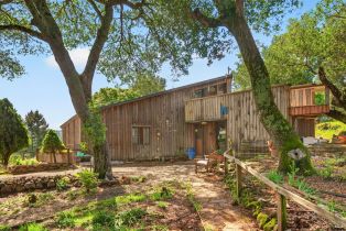 Agriculture,  Wild Horse Valley road, Napa, CA 94558 - 11