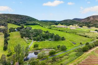 Agriculture,  Wild Horse Valley road, Napa, CA 94558 - 39
