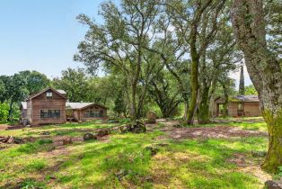 Agriculture,  Wild Horse Valley road, Napa, CA 94558 - 24