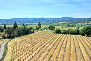 Single Family Residence,  Dry Creek road, Healdsburg, CA 95448 - 81