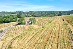 Single Family Residence,  Dry Creek road, Healdsburg, CA 95448 - 62