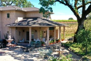 Single Family Residence,  Dry Creek road, Healdsburg, CA 95448 - 15