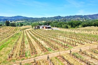 Single Family Residence,  Dry Creek road, Healdsburg, CA 95448 - 63