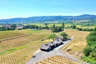 Single Family Residence,  Dry Creek road, Healdsburg, CA 95448 - 6