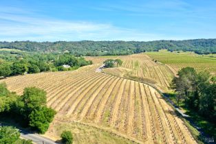 Single Family Residence,  Dry Creek road, Healdsburg, CA 95448 - 61