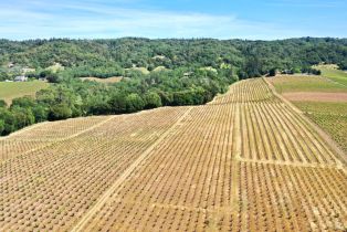 Single Family Residence,  Dry Creek road, Healdsburg, CA 95448 - 65
