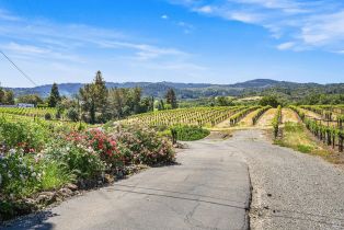 Single Family Residence,  Dry Creek road, Healdsburg, CA 95448 - 82
