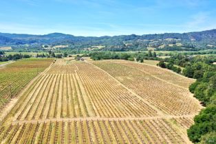 Single Family Residence,  Dry Creek road, Healdsburg, CA 95448 - 67