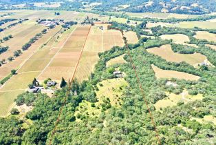 Single Family Residence,  Dry Creek road, Healdsburg, CA 95448 - 4