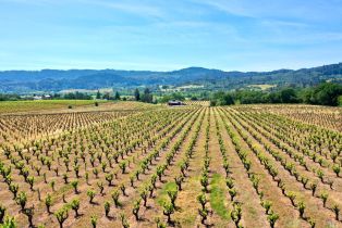 Single Family Residence,  Dry Creek road, Healdsburg, CA 95448 - 78