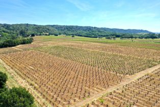 Single Family Residence,  Dry Creek road, Healdsburg, CA 95448 - 58