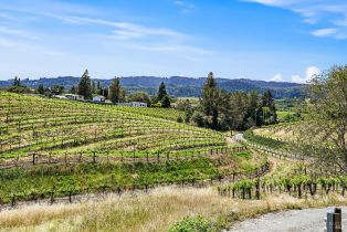 Single Family Residence,  Dry Creek road, Healdsburg, CA 95448 - 56