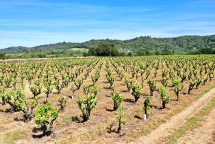 Single Family Residence,  Dry Creek road, Healdsburg, CA 95448 - 69