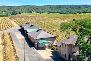 Single Family Residence,  Dry Creek road, Healdsburg, CA 95448 - 10