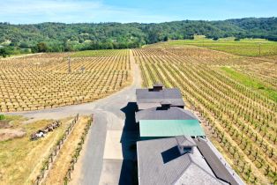 Single Family Residence,  Dry Creek road, Healdsburg, CA 95448 - 11